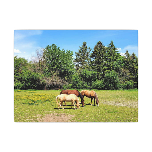 Framed Horse Canvas Art - Cherry Blossom Print